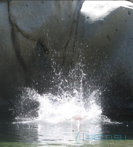 Футуристичный кит в Фотошопе