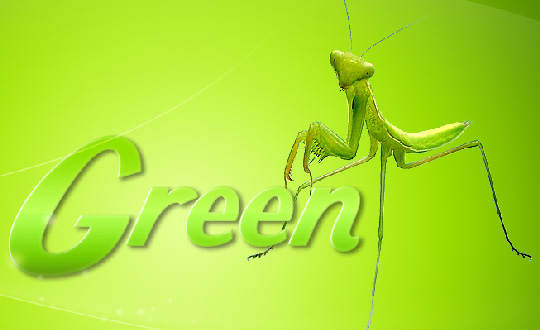 Простые зелёные обои в Фотошопе