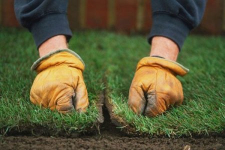 Правильно готовим газон к весне: несколько действенных рекомендаций